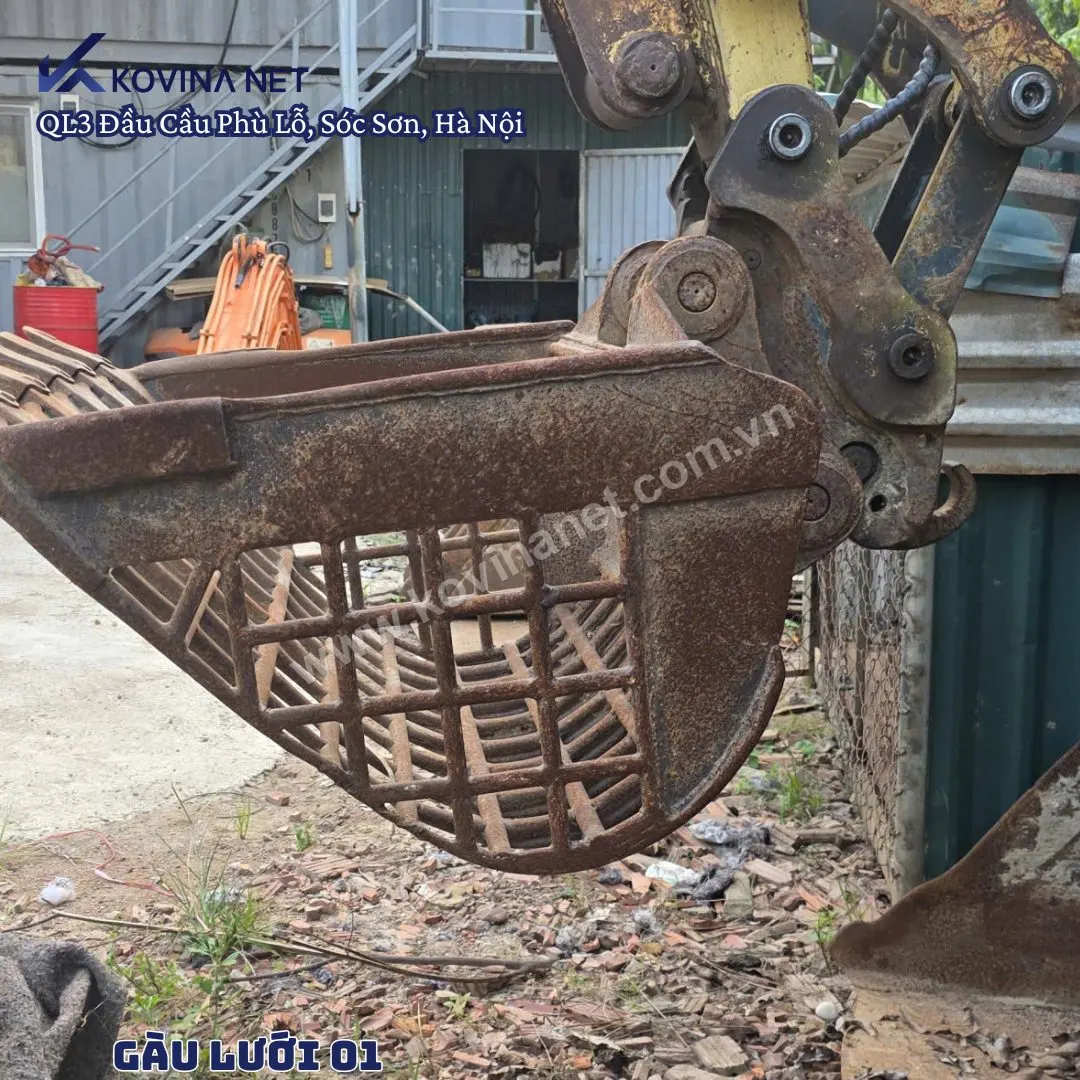 NA Gàu Lưới 01 · 사진 2 / 3